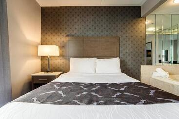 هتل Monte Carlo Inn Brampton