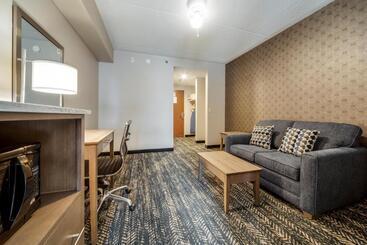 هتل Monte Carlo Inn Brampton