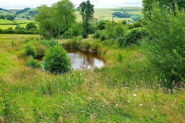 Foxglove Holiday Private Eco Accommodation