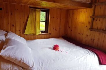 Foxglove Holiday Private Eco Accommodation