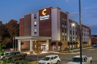 هتل Comfort Inn & Suites Downtown Near University