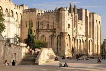 هتل Camping Du Pont D Avignon