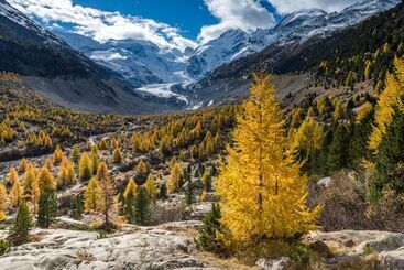 Отель Morteratsch
