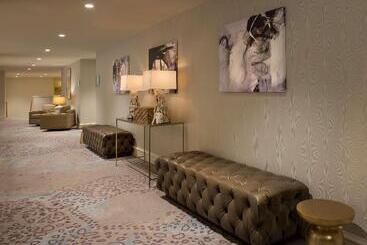 Doubletree By Hilton Hotel Dallas – Love Field