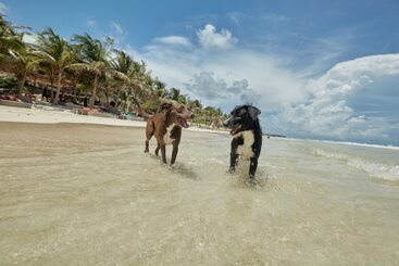 Отель Selina Tulum