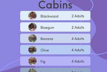 هاستل Plett Forest Cabins