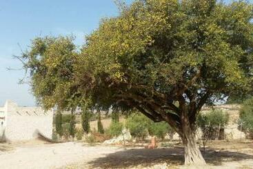پانسیون Domaine Argania