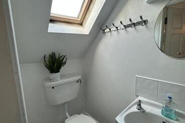 The Grapevine Hostel