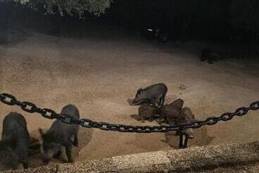 استراحتگاه Alojamiento Turístico El Pantano De Cazorla