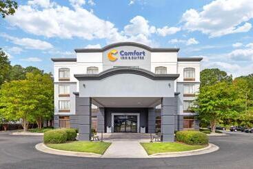 هتل Comfort Inn & Suites Greenville Near Convention Center