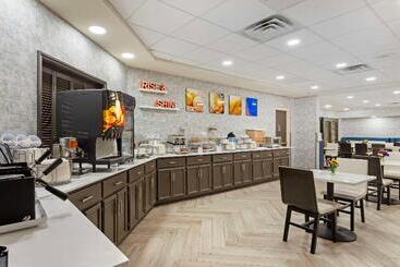هتل Comfort Inn & Suites Greenville Near Convention Center