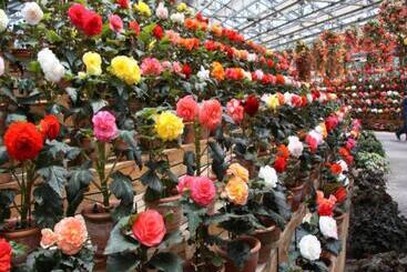 هتل Kuwana Park