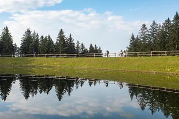 Pohorje Village Wellbeing Resort   Wellness & Spa Hotel Bolfenk