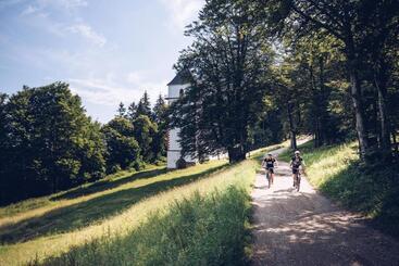 Pohorje Village Wellbeing Resort   Wellness & Spa Hotel Bolfenk