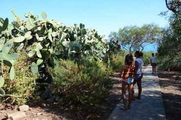 Unahotels Club Hotel Ancora