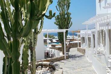 هتل Damianos Mykonos