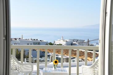 هتل Damianos Mykonos