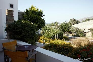 هتل Naxos Palace