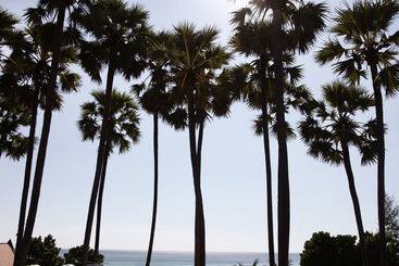 酒店 Woraburi Phuket Resort & Spa   Sha Plus
