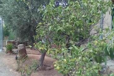 B&b Il Vigneto - Capoterra
