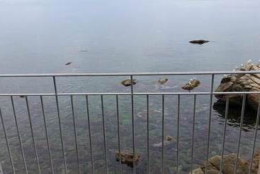 B&b Il Borgo