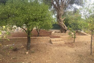 پانسیون Casa Flavia