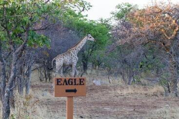 هتل Eagle Tented Lodge & Spa Etosha