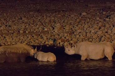 هتل Eagle Tented Lodge & Spa Etosha