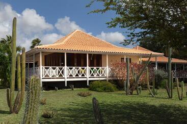 Papagayo Beach Resort
