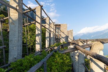 Violetta In Hilly Area   Happy Rentals - Gargnano