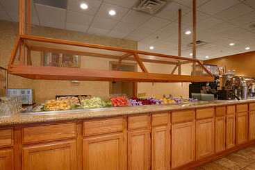هتل Best Western Plus Chicago Hillside