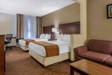 هتل Comfort Inn & Suites Branson Meadows