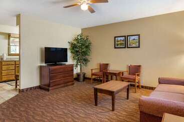 هتل Comfort Inn & Suites Branson Meadows
