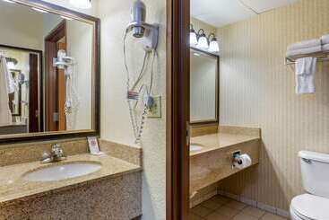 هتل Comfort Inn & Suites Branson Meadows
