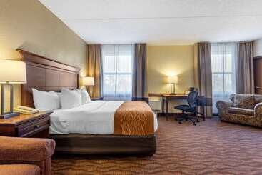 هتل Comfort Inn & Suites Branson Meadows