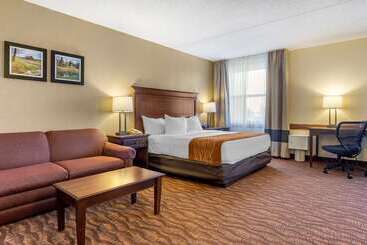 هتل Comfort Inn & Suites Branson Meadows