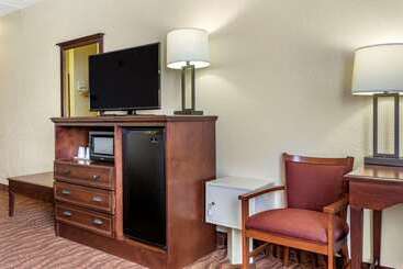 هتل Comfort Inn & Suites Branson Meadows