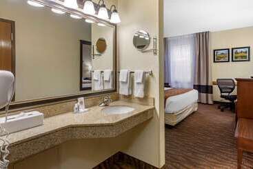 هتل Comfort Inn & Suites Branson Meadows