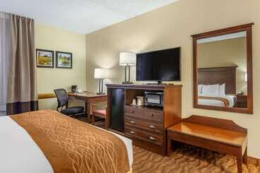 هتل Comfort Inn & Suites Branson Meadows