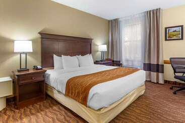 هتل Comfort Inn & Suites Branson Meadows