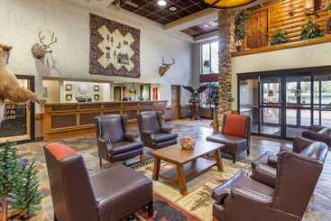 هتل Comfort Inn & Suites Branson Meadows