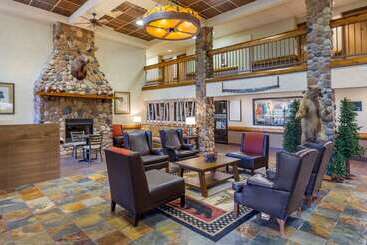 هتل Comfort Inn & Suites Branson Meadows