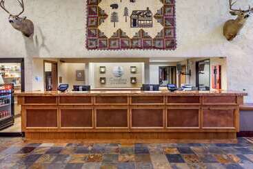 هتل Comfort Inn & Suites Branson Meadows