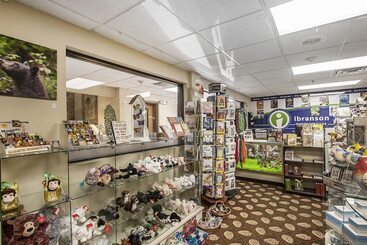 هتل Comfort Inn & Suites Branson Meadows