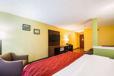 هتل Comfort Inn & Suites