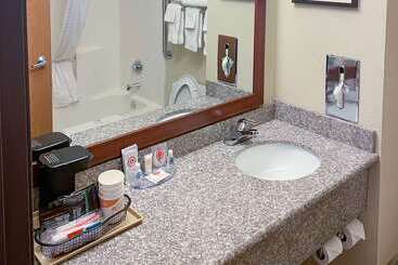 בית מלון כפרי Comfort Inn & Suites Midtown