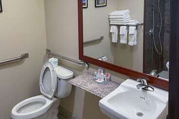 בית מלון כפרי Comfort Inn & Suites Midtown
