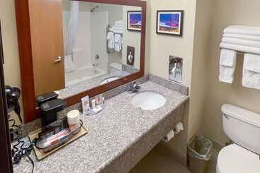 בית מלון כפרי Comfort Inn & Suites Midtown