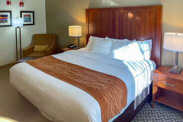 בית מלון כפרי Comfort Inn & Suites Midtown
