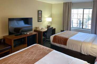 בית מלון כפרי Comfort Inn & Suites Midtown